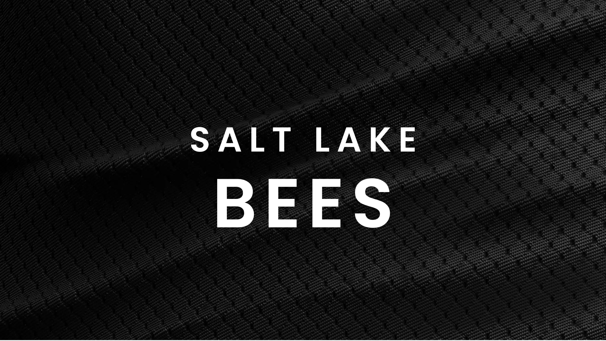Salt Lake Bees vs. Omaha Storm Chasers event image